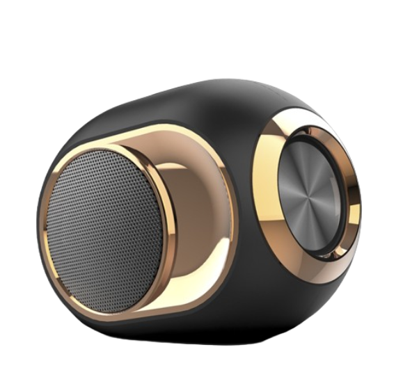 SlowMoose Golden Egg Bluetooth Speaker Black
