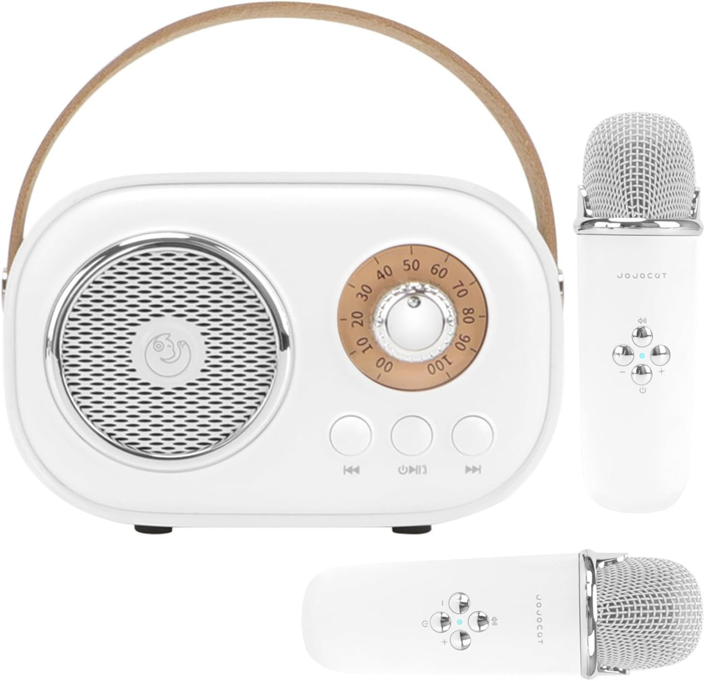 Mini Karaoke Machine Portable Bluetooth Speaker for Kids, Family Party, Birthday, White